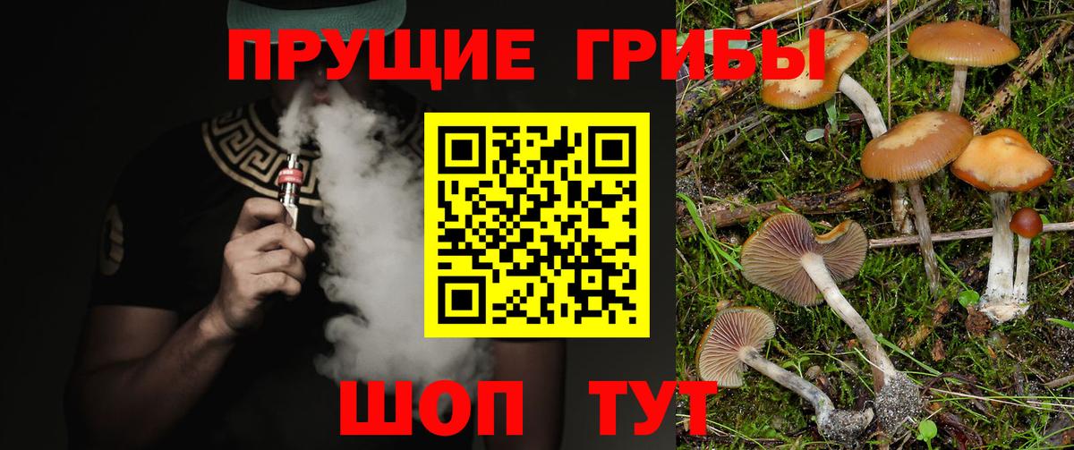 Галлюциногенные грибы ЛСД  Галлюциногенные грибы Psilocybine cubensis  Петропавловск-Камчатский  Вход с VPN 