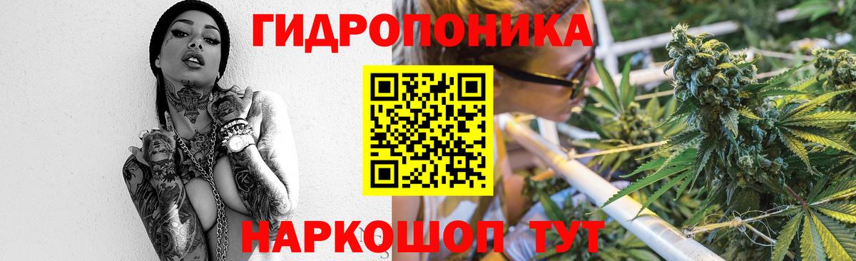 Шишки марихуана план Петропавловск-Камчатский